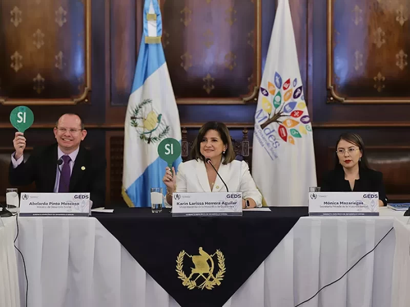 Vicepresidenta preside reunión extraordinaria del GEDS