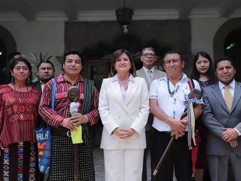 Vicepresidencia y SVET dialogan sobre importancia de prevenir delitos VET en idiomas indígenas