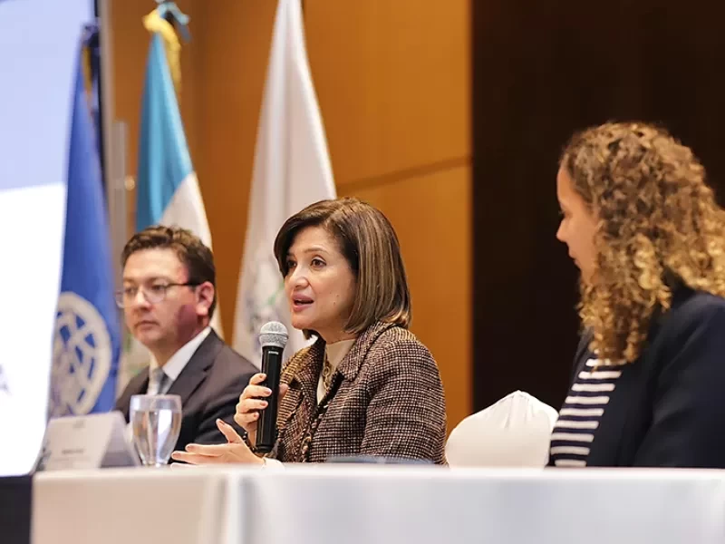 Vicepresidenta llama a fortalecer el Estado en materia de migración y refugio