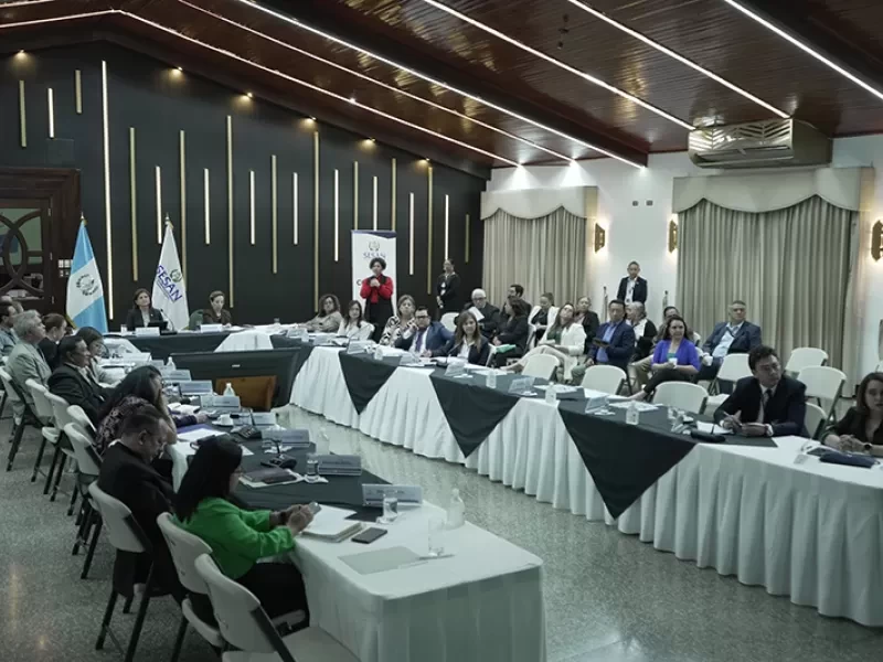 CONASAN aprueba dos protocolos para recibir a los connacionales, que l de seguridad alimentaria y de contingencia para el abordaje del hambre estacional