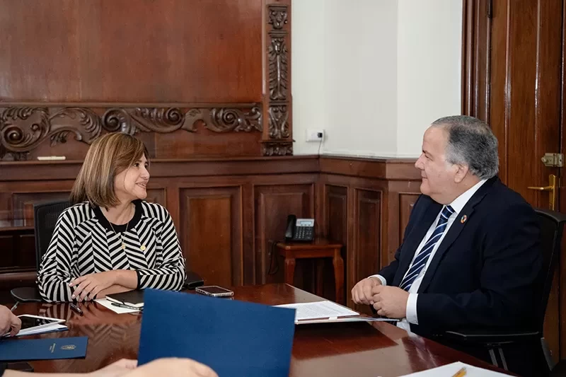 Vicepresidenta y coordinador de las Naciones Unidas